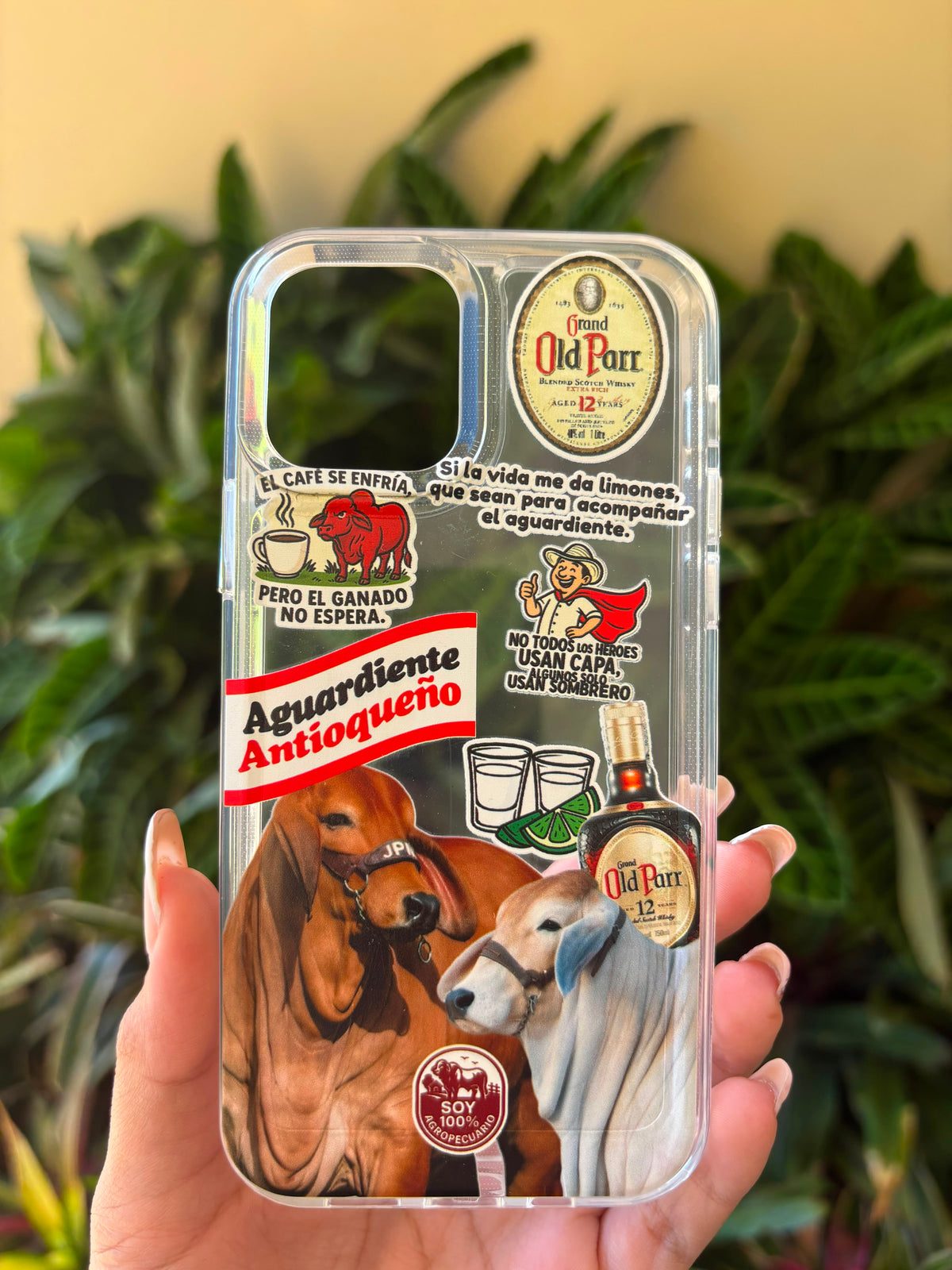 IPHONE 12-12 PRO