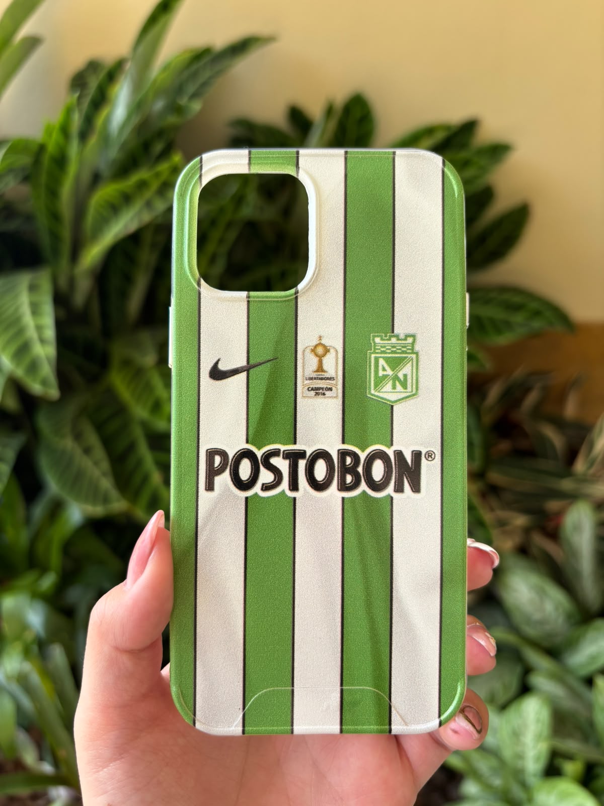 IPHONE 12-12 PRO
