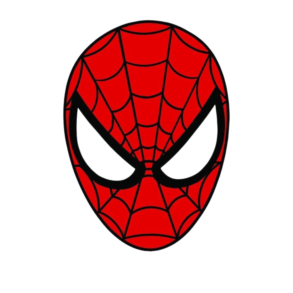 SPIDER MAN