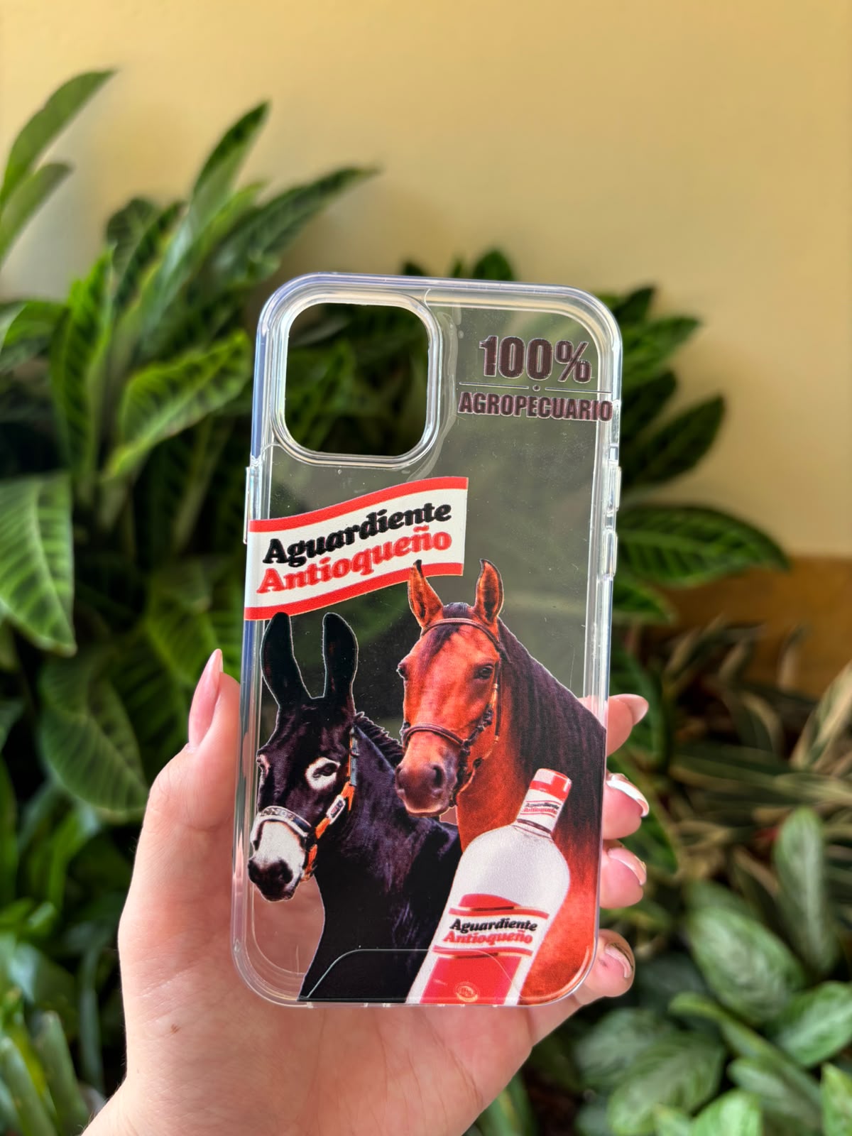 IPHONE 12-12 PRO